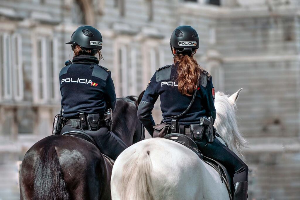 gestión policia