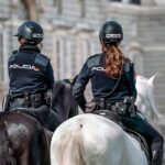 gestión policia