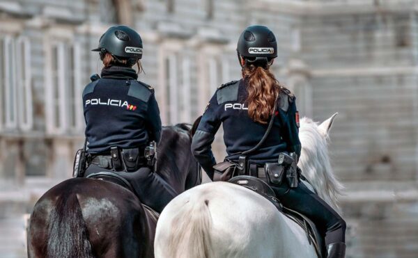 gestión policia